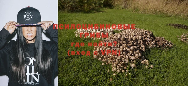 прущие грибы Покров