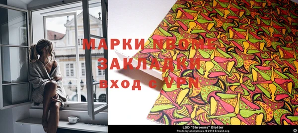прущие грибы Покров
