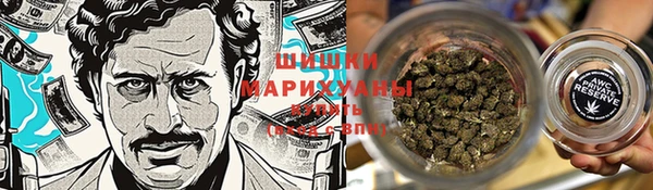 прущие грибы Покров
