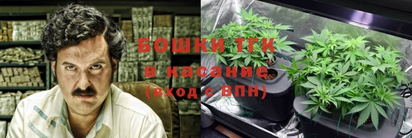 ПСИЛОЦИБИНОВЫЕ ГРИБЫ Переславль-Залесский