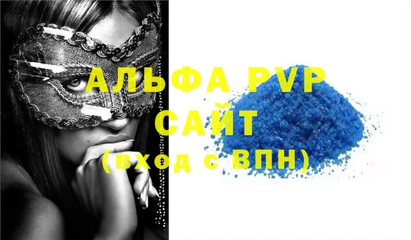прущие грибы Покров
