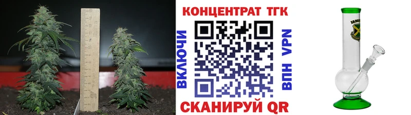 ТГК Wax  Адыгейск 