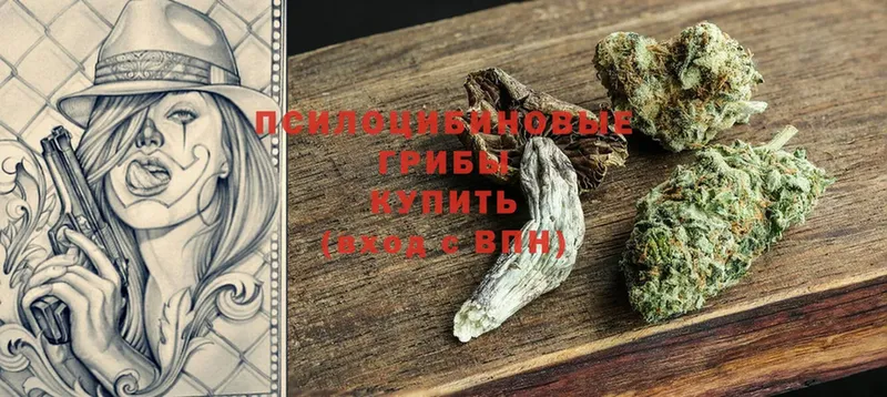 ОМГ ОМГ ТОР  Адыгейск  Галлюциногенные грибы Cubensis 